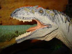 Giganotosaurus, Carnegie Giganotosaurus, Dinosaur Toys