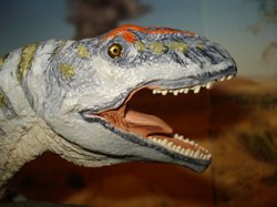 Giganotosaurus, Carnegie Giganotosaurus, Dinosaur Toys