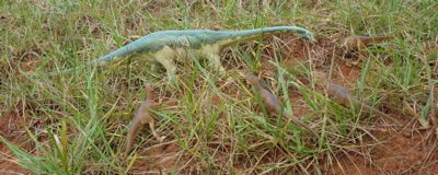 Carnegie Diplodocus Dinosaur Toys