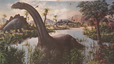 Carnegie Apatosaurus Dinosaur Toys