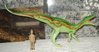 Carnegie Baronyx Dinosaur Toys