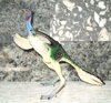 Carnegie Caudipteryx Dinosaur Toys