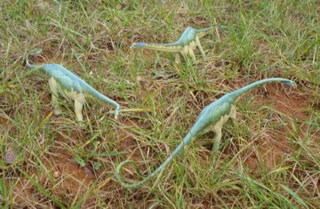 Carnegie Diplodocus Dinosaur Toys