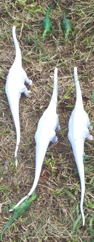 Invicta apatosaurus, apatosaurus, british museum, sauropods, Dinosaur Toys