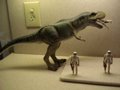 Jurassic Park Tyrannosaurus Dinosaur Toys