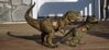 Tyrannosaurus Rex Dinosaur Toys