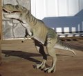 Thrasher, Tyrannosaurus Rexford, Dinosaur Toys