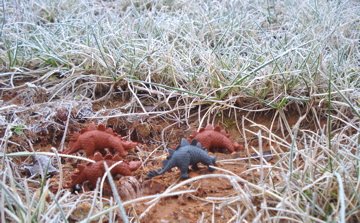 Dinosaur Toys