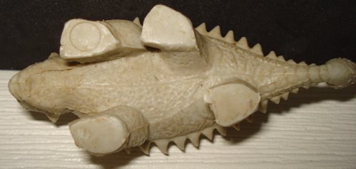 Marx Ankylosaurus Dinosaur Toys