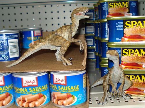 Dinosaur Toys, Papo, Velociraptor, Raptor