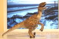 Papo Velociraptor Dinosaur Toys