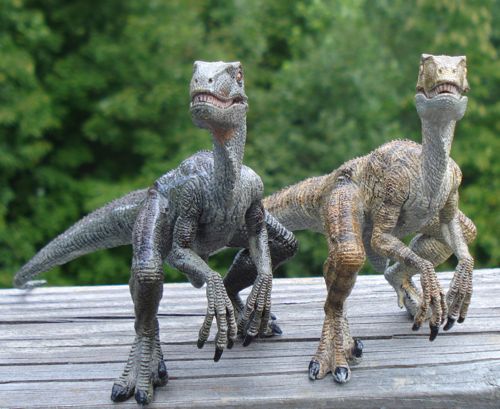 Dinosaur Toys, Papo, Velociraptor, raptor