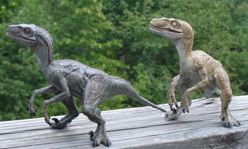 Dinosaur Toys, Papo, Velociraptor, Raptor