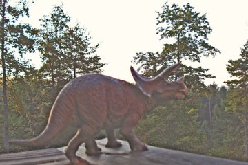 Papo Triceratops Dinosaur Toys