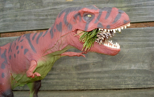 Rexford, Dinosaur Toys