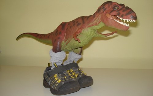 Rexford, Rexford Dinosaur, T-Rexford, Tyrannosaurus Rexford, Rexford Dinosaur Toys