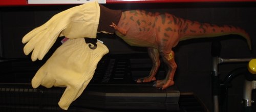 Rexford, Rexford Dinosaur, T-Rexford, Tyrannosaurus Rexford, Rexford Dinosaur Toys
