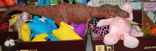 Rexford, Tyrannosaurus Rexford, Dinosaur Toys