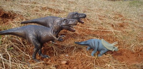 T-Rex, Dinosaur Toys