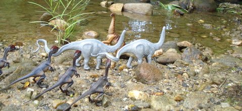 Safari Apatosaurus, Sauropod, Dinosaur Toys