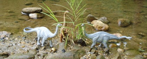 Safari Apatosaurus, Sauropod, Dinosaur Toys