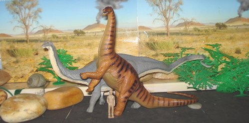 Safari Apatosaurus, Sauropod, Dinosaur Toys