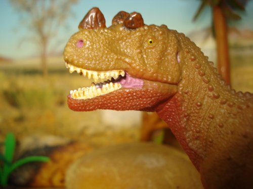 Ceratosaurus, Safari Ceratosaurus, Ceratosaur, Ceratosaurus Dinosaur Toys