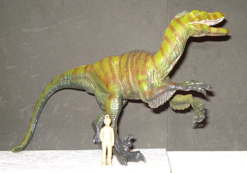 Great Velociraptor Dinosaur Toys