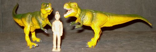 Dinosaur Toys, Sue Field Museum