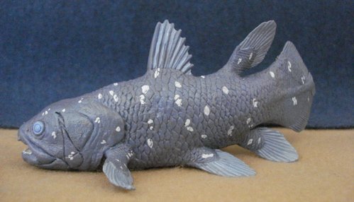 Coelacanth, Dinosaur Toys