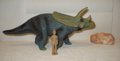 Schleich Torosaurus Dinosaur Toys