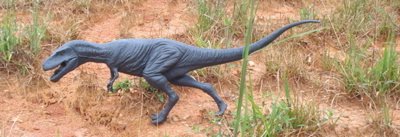 Albertosaurus Dinosaur Toys