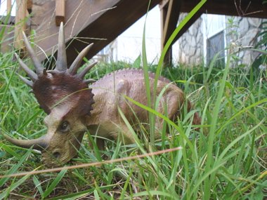 Styracosaurus Dinosaur Toys